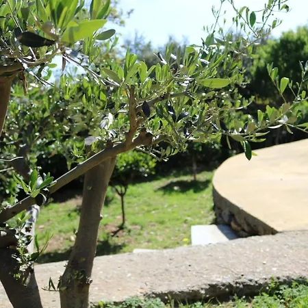 Alpha House Gialia Steniaí